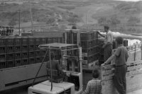 Šarišské pivo z Veľkošarišského pivovaru potom expedovali spotrebiteľom do okolitých okresov. foto: Gabriel Bodnár