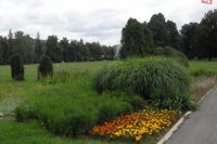 kvetinová výzdoba v Parku pod Pamätníkom SNP