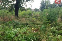 Brigádnici v akcií