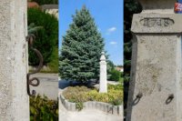 Dobrovodský pranier v Dobrej Vode