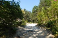 Veľkú časť chodníka  tvorí vápenec