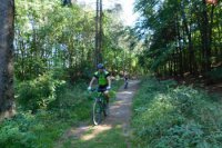 Lesná cestička je vhodná aj pre cyklistov