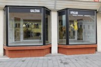 Výstava Different Battlegrounds/Odlišné bojiská