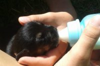 Dojímavý príbeh neostal bez povšimnutia.