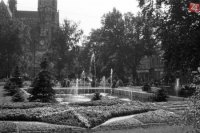 NAGY GYULA, r.1956, Hlavné námestie