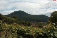 Kanaš oplýva medom a vínom.