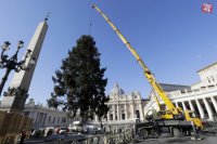 Inštalácia vianočného stromu vo Vatikáne 2017