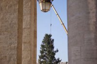 Inštalácia vianočného stromu vo Vatikáne 2017