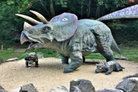 rodinka Triceratopsov