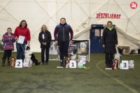 Z vyhlásenia výsledkov v Gödölő, obsadili sme tretie miesto.