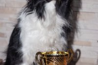 Spolu sme na preteku v Maďarsku predviedli pekný výkon a tešíme sa z pohára.