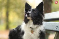 Aileen Ferenčík alias Alica.