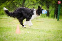 Priniesť aport nie je vždy jednoduché. V OB3 je to náročný test.