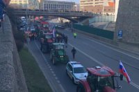 foto: Vlado Dikusarov