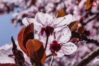 Foto: Miroslava Mydliarova