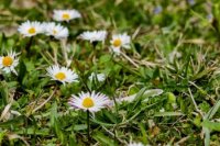 Foto: Miroslava Mydliarova