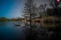 Jar v Rači. Foto: Vlado Tencer