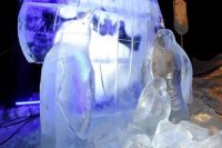 Eko téma spracovaná tímom zo susedného Poľska.