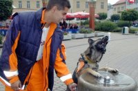 16. september 2000 - Európsky deň prvej pomoci v Žiline. Na fotke si vodu užíva záchranársky pes Alfa, ktorého cvičí Jozef Hramec zo Žiliny.
