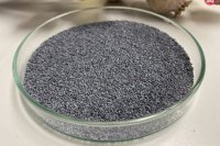 Na snímke vyšľachtená a registrovaná odroda maku siateho s názvom Azurit.