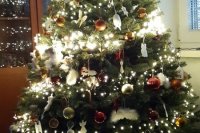 Eva Tiefenbacherová Koleničová