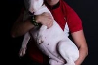 Dado Podnikatel a Aténka