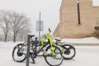 Pred mestskými hradbami v Trnave.