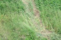 Na mieste ostala stopa po zosunutí sa auta ku koryte rieky Torysa.