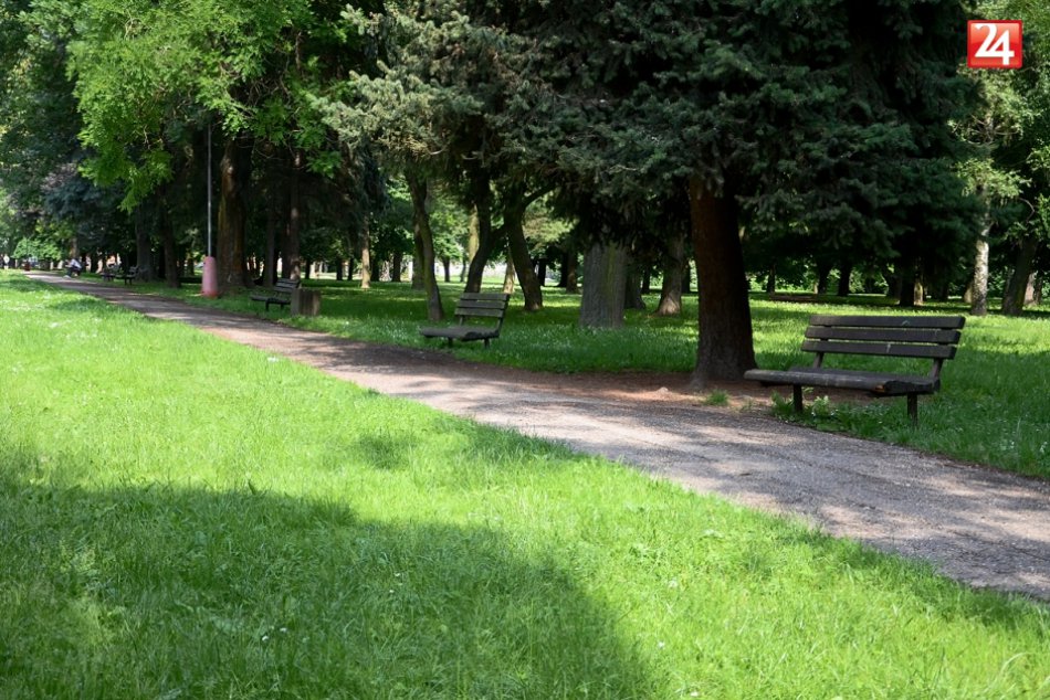 Ilustračný obrázok k článku Viac zelene v Nitre: Radnica má 5 projektov za takmer 1,5 milióna eur