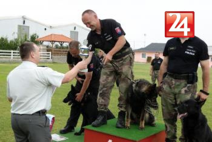 Ilustračný obrázok k článku Policajný pes Gero sa vyznamenal: Našiel strateného 49-ročného muža!