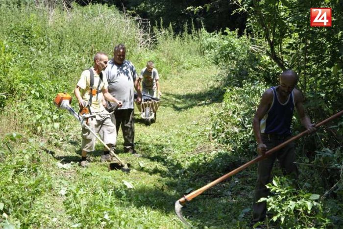 Ilustračný obrázok k článku Nastal čas zberu rastlinného odpadu: Kedy a kde bude zber