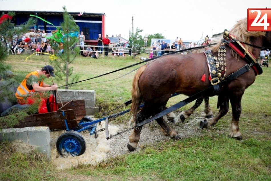 Ilustračný obrázok k článku Neďaleko Zvolena si sily zmerajú furmani s ťažnými koňmi: Návštevníkov čaká aj zimný jarmok