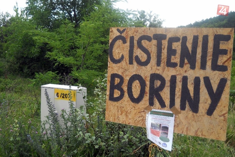 Ilustračný obrázok k článku Priložte ruku k dielu: Dobrovoľníci budú čistiť Borinu!