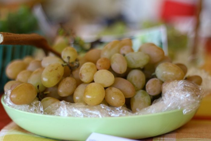 Ilustračný obrázok k článku Rekordná úroda obrazom: Kremičania dopestovali hrozno!