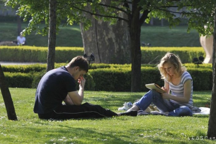 Ilustračný obrázok k článku "Šamlíková" brigáda skrášli nemocničný park