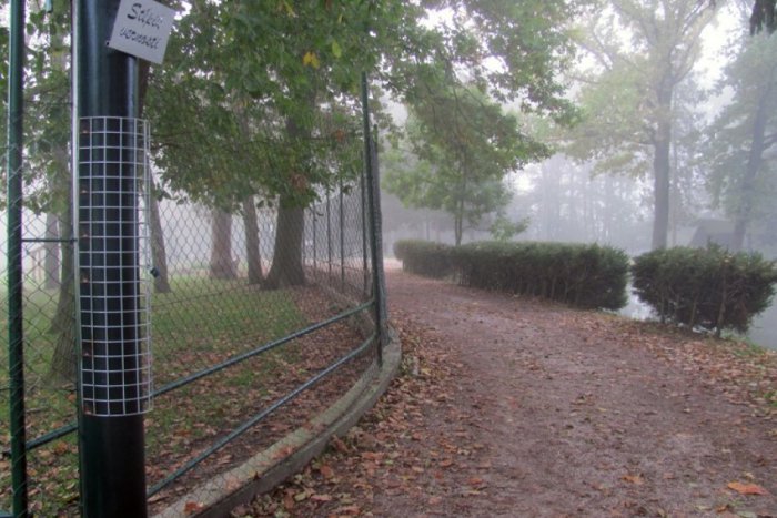 Ilustračný obrázok k článku Romantická novinka v parku: Stĺp vernosti pre zaľúbencov!