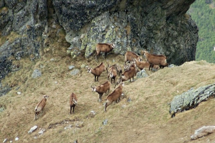 Ilustračný obrázok k článku RANNÁ ŠTVORKA: Pred 70 rokmi bol vyhlásený Tatranský národný park
