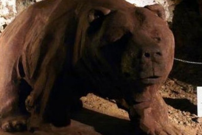 Ilustračný obrázok k článku Važecká jaskyňa: Miesto plné neobjavených skvostov