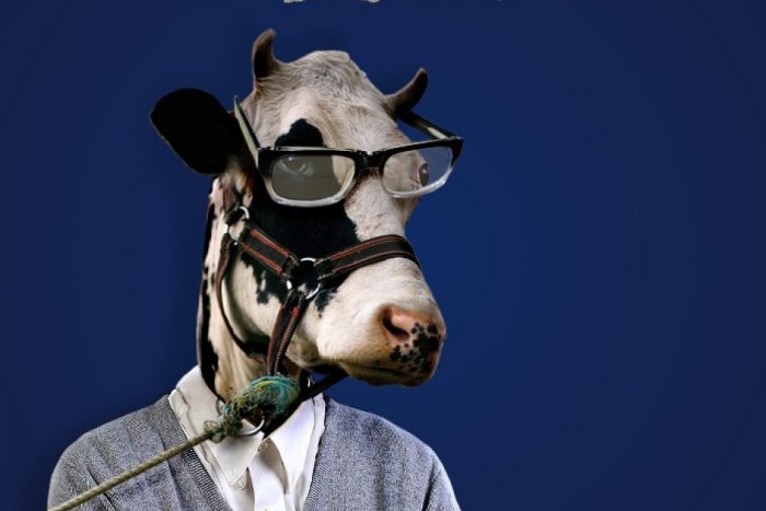 Ilustračný obrázok k článku Vysokoškoláci z protestu neupúšťajú, idú si za svojim