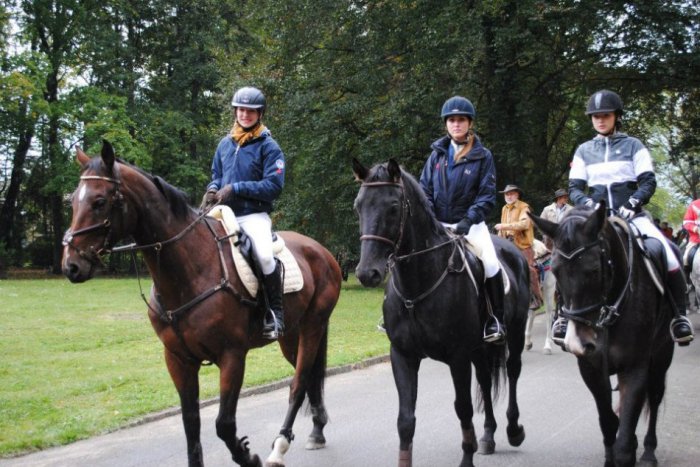 Ilustračný obrázok k článku Mrazivé chvíle na Hubertovej jazde: Kôň precválal cez obecenstvo