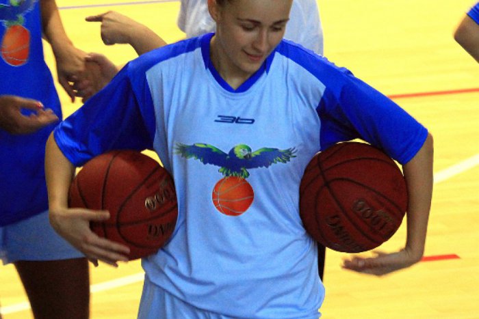 Ilustračný obrázok k článku Piešťanské čajky lietali privysoko