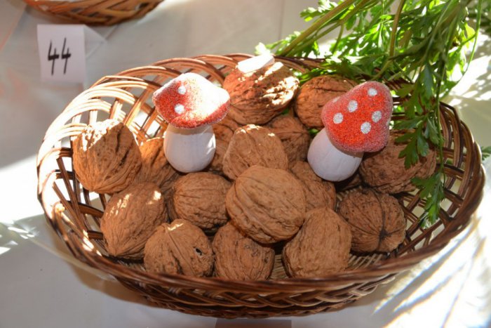 Ilustračný obrázok k článku V Hrboltovej vedia, čo je to AČOKČA