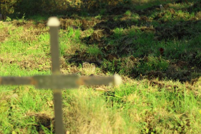 Ilustračný obrázok k článku Diviaky opäť vyčíňali na cintoríne!