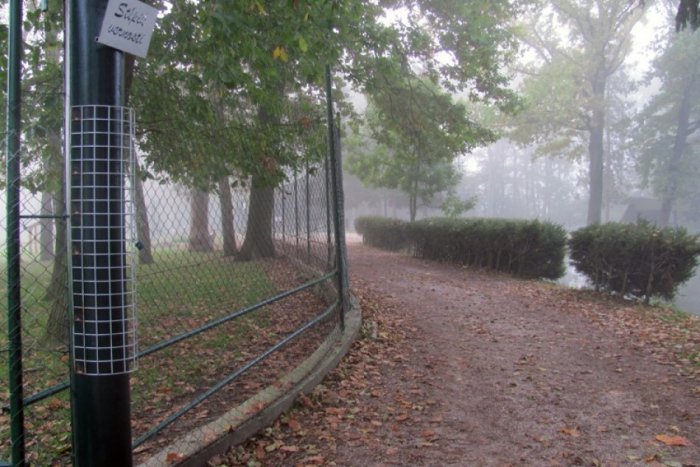 Ilustračný obrázok k článku Halászlé sa v parku variť nebude, jazierka sa však už čistia