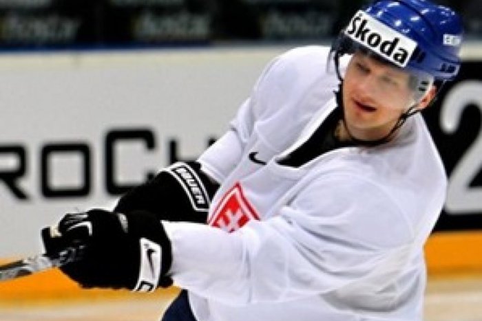 Ilustračný obrázok k článku Vlci majú nového útočníka: Záujem je aj o českého obrancu