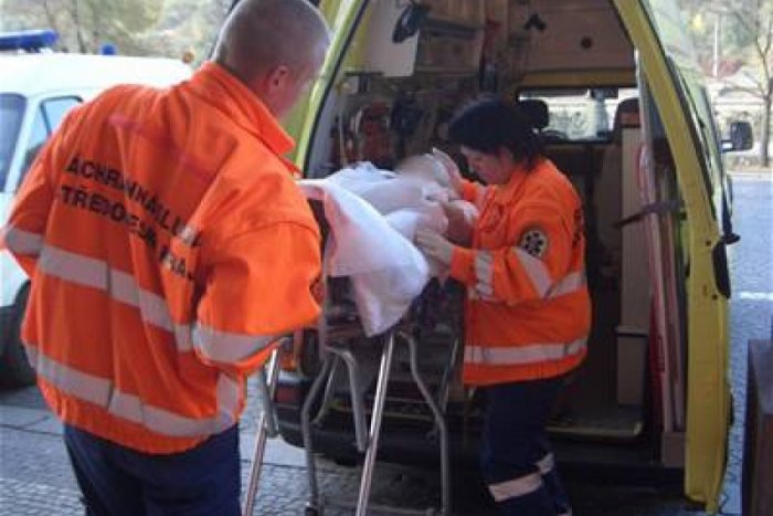 Ilustračný obrázok k článku V Bystrici sa na cestu zrútil strom, vodič je zranený!