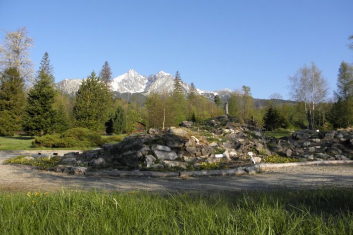 Ilustračný obrázok k článku V Tatrách odhalia pamätnú tabuľu významným botanikom: Vzácni budú i samotní hostia