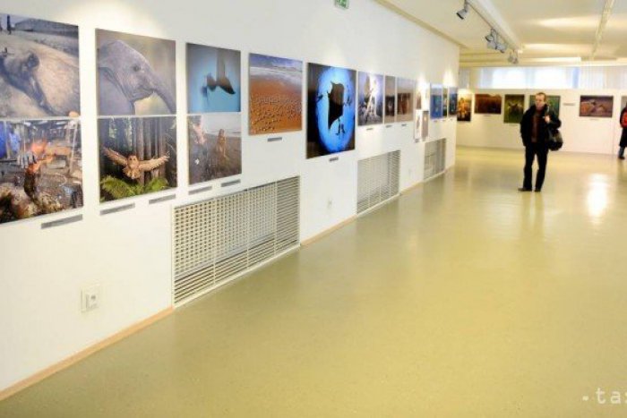 Ilustračný obrázok k článku Do svojho sveta nás vtiahnu nepočujúci výtvarníci