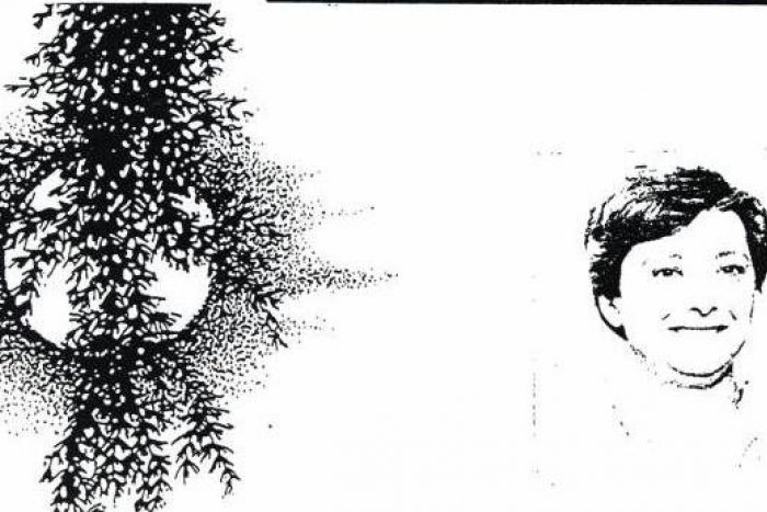 Ilustračný obrázok k článku Zomrela nositeľka Ceny mesta Nitry Eva Ruthová  (†78)