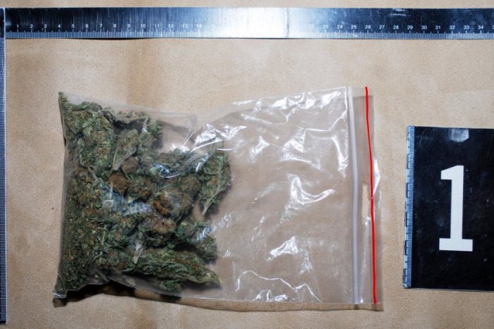 Ilustračný obrázok k článku Mladík chodil rád do lesa. Pestoval si tam marihuanu